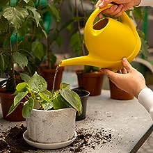 Sıvı Solucan Gübresi gübre nasıl uygulanır?