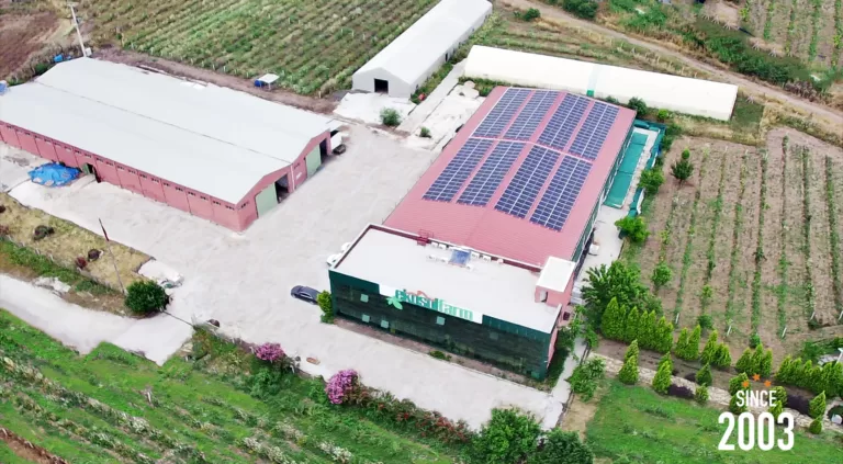EkosolFarm solucan gübresi üretimi