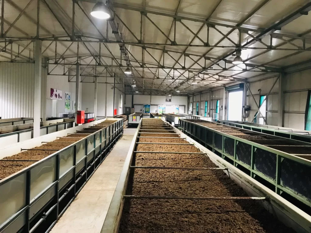 EkosolFarm solucan gübresi üretimi