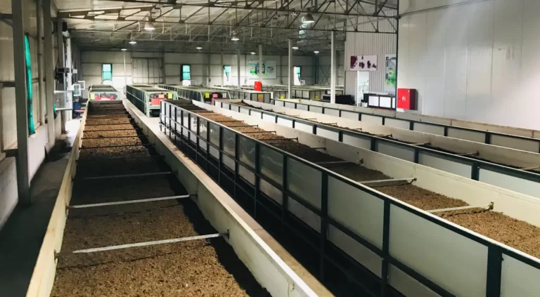 EkosolFarm solucan gübresi üretimi