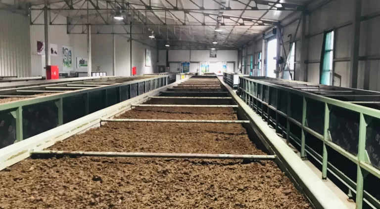 EkosolFarm solucan gübresi üretimi