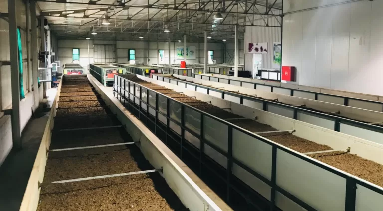 EkosolFarm solucan gübresi üretimi