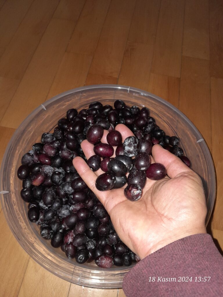 Image #1 from Mustafa K.