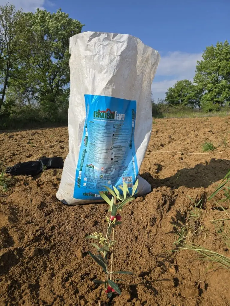 Image #2 from Tuğçe Özeren