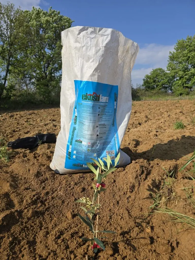 Image #2 from Tuğçe Özeren