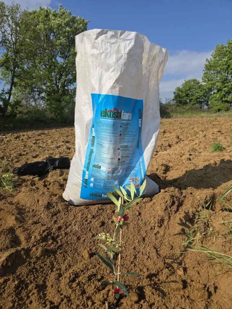 Image #1 from Tuğçe Özeren