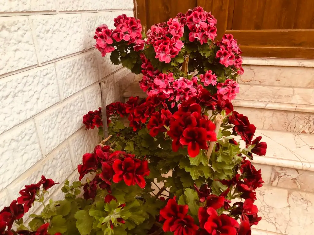 Image #1 from Serkan Demirgöz